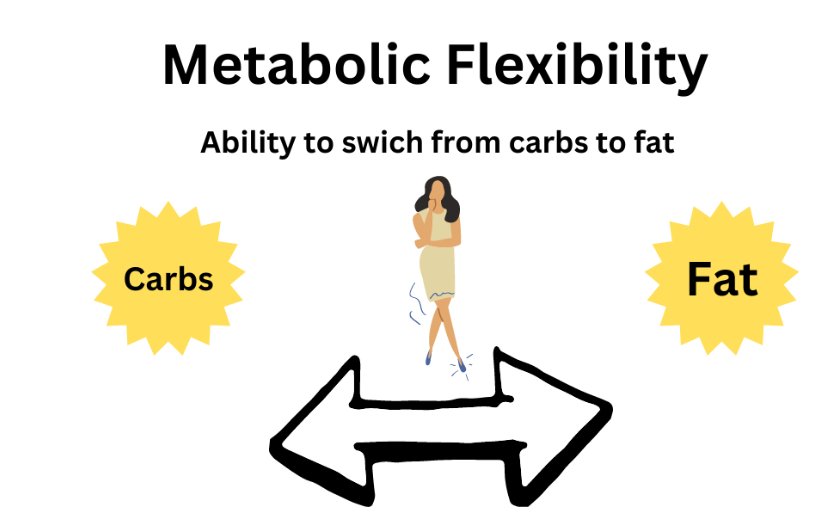 metabool flexibel